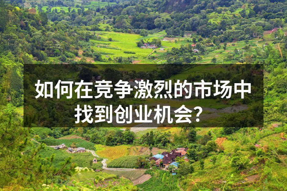 如何在竞争激烈的市场中找到创业机会？