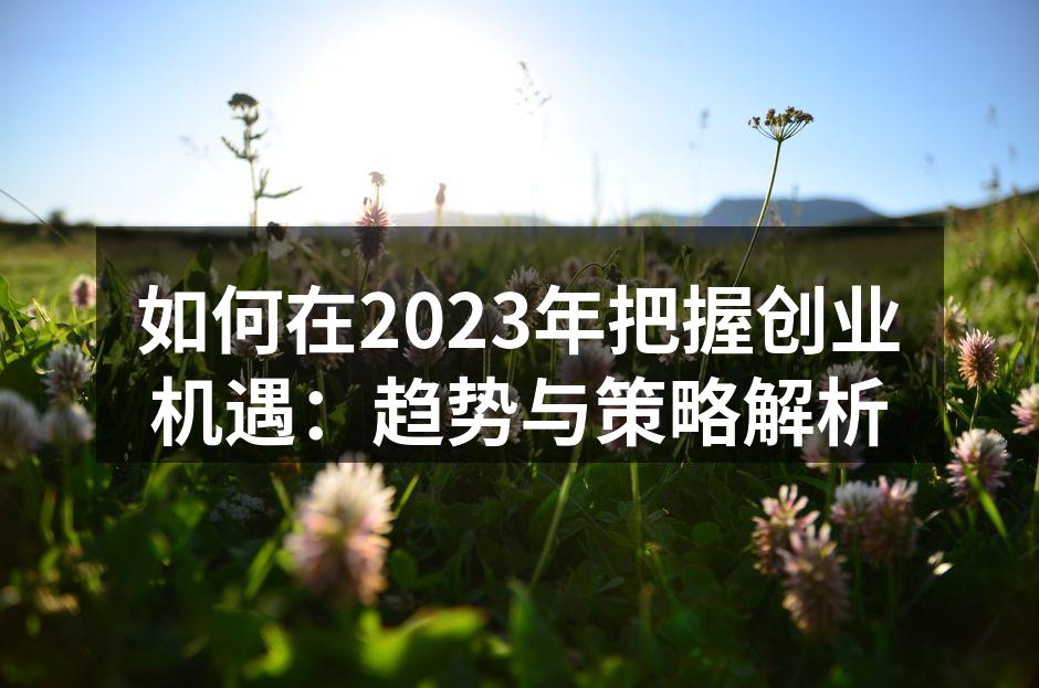 如何在2023年把握创业机遇：趋势与策略解析